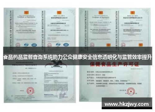 食品药品监督查询系统助力公众健康安全信息透明化与监管效率提升
